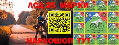 амф Новодвинск