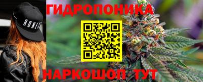 амф Новодвинск
