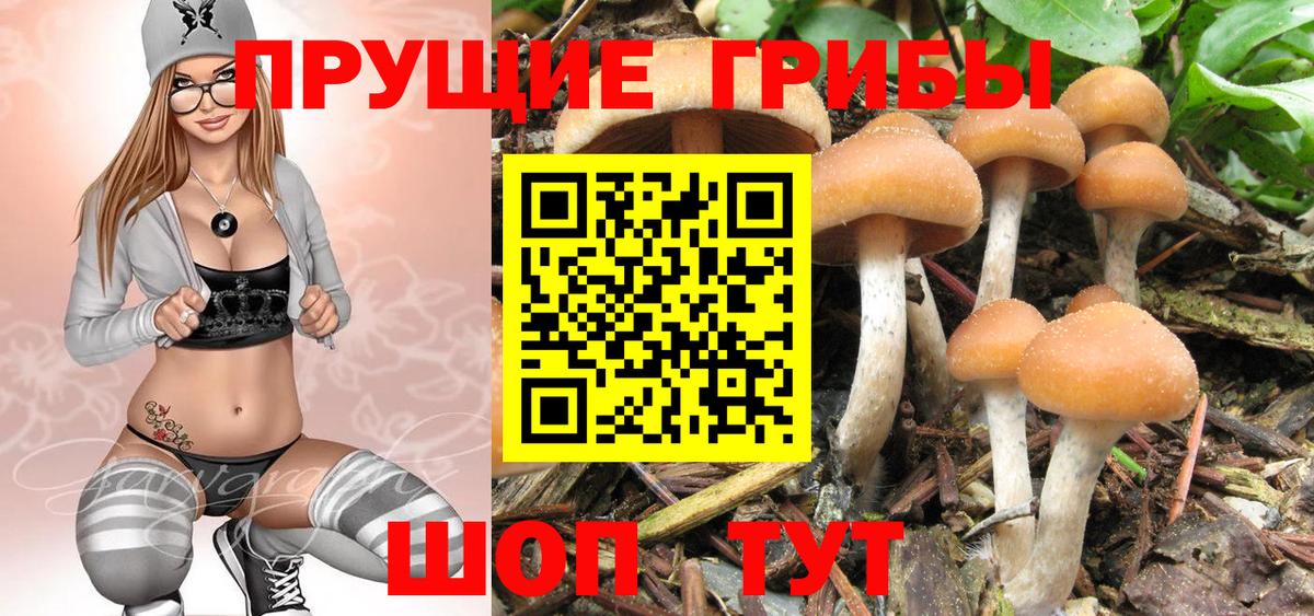Галлюциногенные грибы ЛСД  Вход с VPN  Сочи 