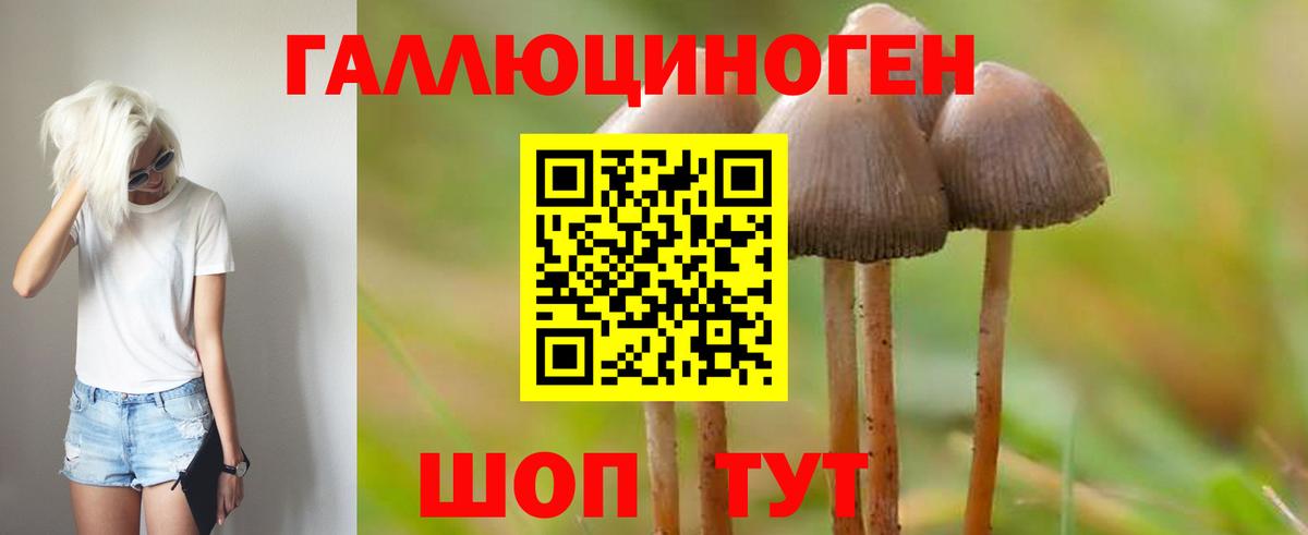 Псилоцибиновые грибы Magic Shrooms Сочи